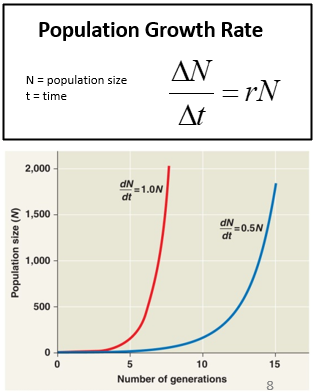 <p>Rate of Increase: r= birthrate per capita (b) - death rate per capita (d)</p><p>•<u>Population growth rate </u>– change in number of individuals in population over time</p><p style="text-align: left;"></p><p>•<u>Per capita rate of increase (r) </u>– how quickly a population grows per individual already in the population</p><p>Big R faster, smaller r a little slower</p><p></p>