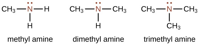 <p>ends with -amine, derived from ammonia NH<sub>3</sub> where hydrogen is replaced with carbon chains R-NH<sub>2</sub>, <span style="background-color: transparent;">C<sub>n</sub>H<sub>2n+3</sub>N</span></p>