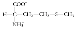 <p>hydrophobic aa </p>