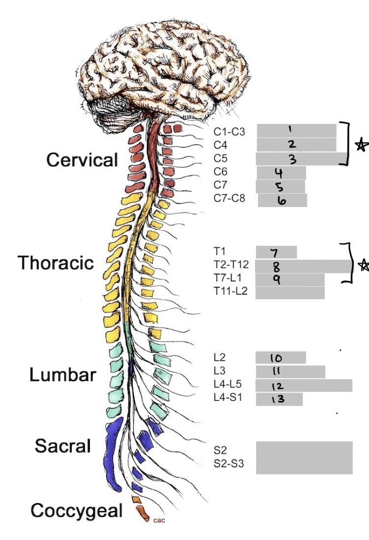 <p>13</p>