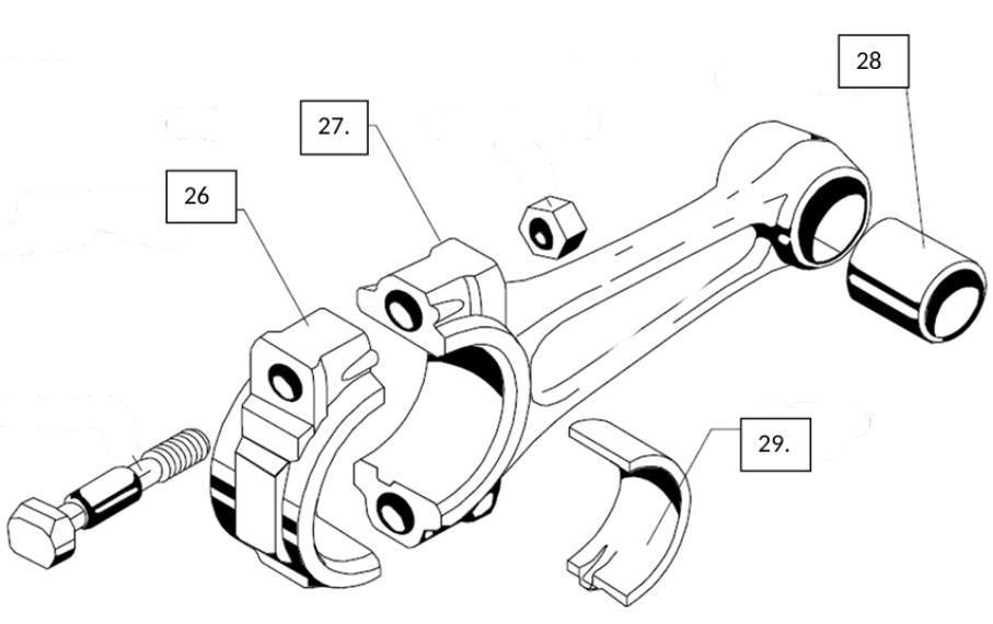 <p>Identify These Parts (List 26-29)</p>