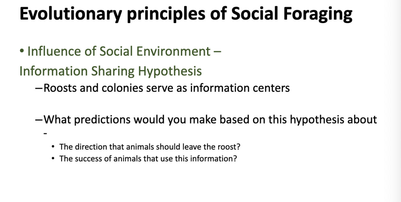 <p>predictions: </p><p>-individuals should leave together and go in the same direction </p><p>-successful foragers should be leaders and less successful should be followers </p>