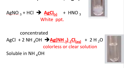 <p><span style="line-height: 0px;">METALLIC IONS​: <strong>Ag</strong></span><span style="background-color: inherit; line-height: 0px;"><strong><sup>1+</sup> (silver ion)</strong></span></p>