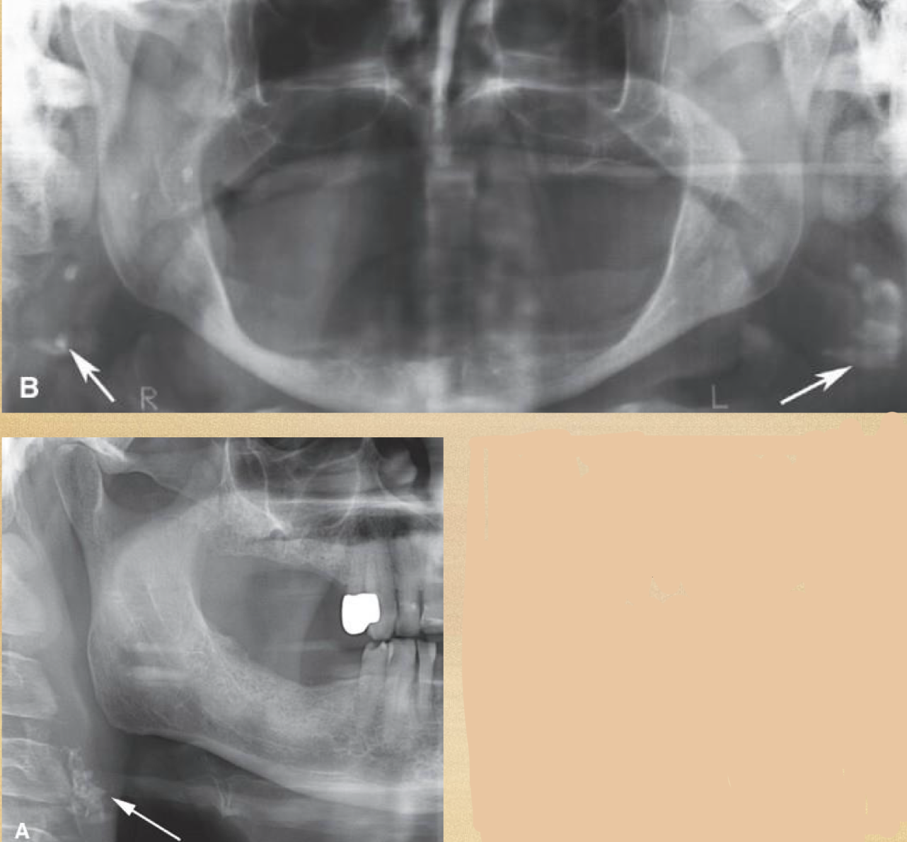 <p>what is this?</p>