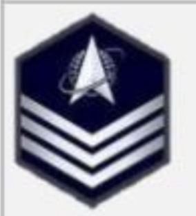 <p>USSF Enlisted Ranks</p>
