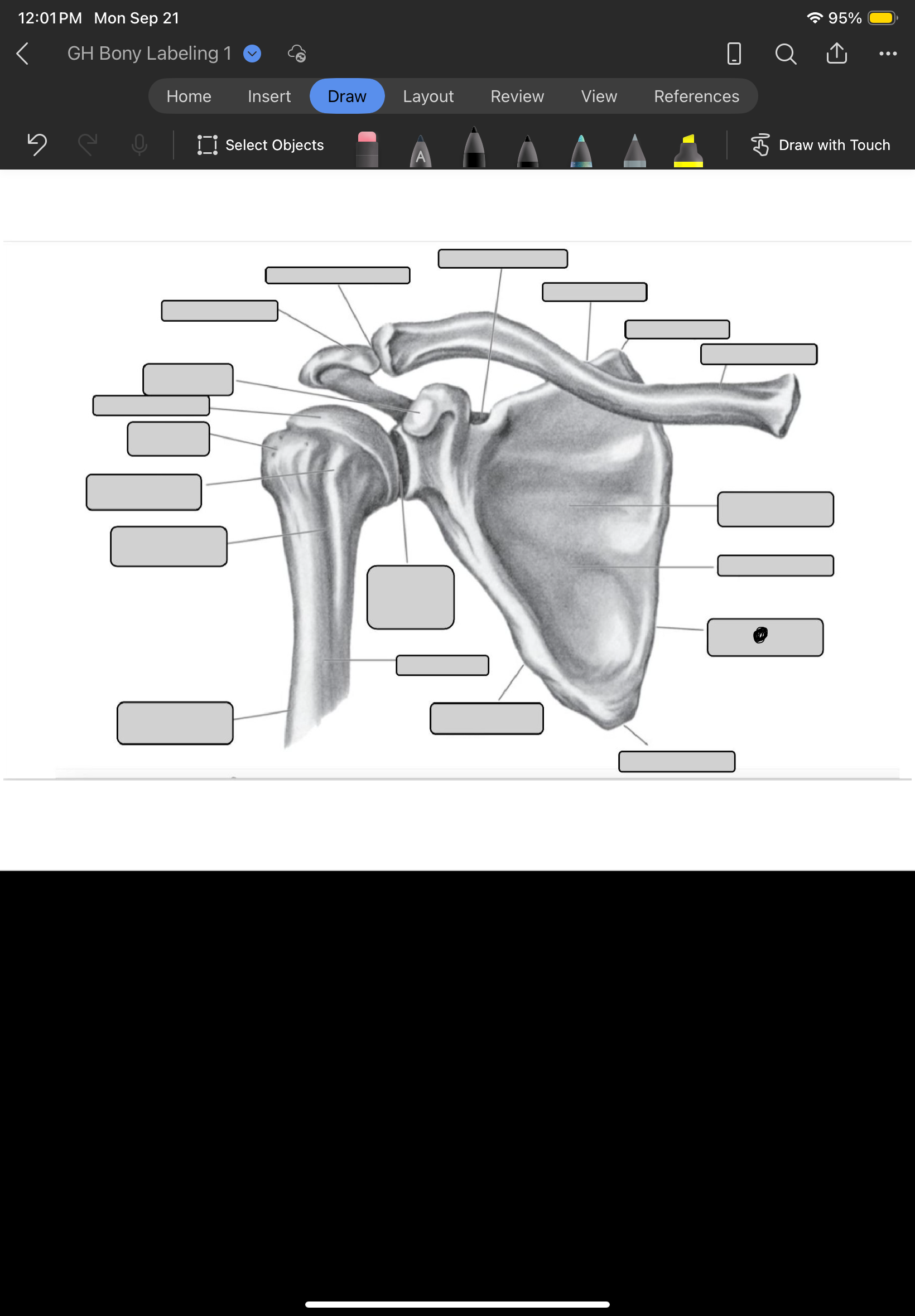 term image