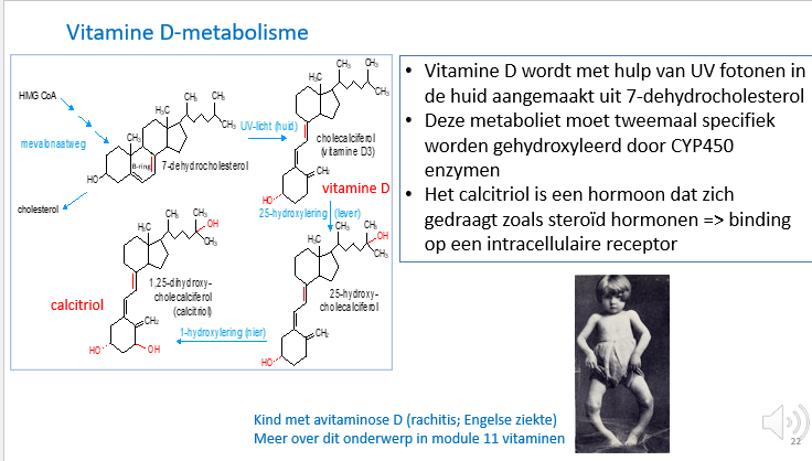 <p>het gedraagt zich zoals de steroidhormonen → binding op een intracellulaire receptor</p>