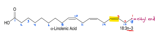 <p>ex: 18:3n-3 </p><p>18 = number of carbons </p><p>3 = number of double bonds</p><p>n-3 = the first double bond is 18-3 carbons (so at the 15th C) </p>