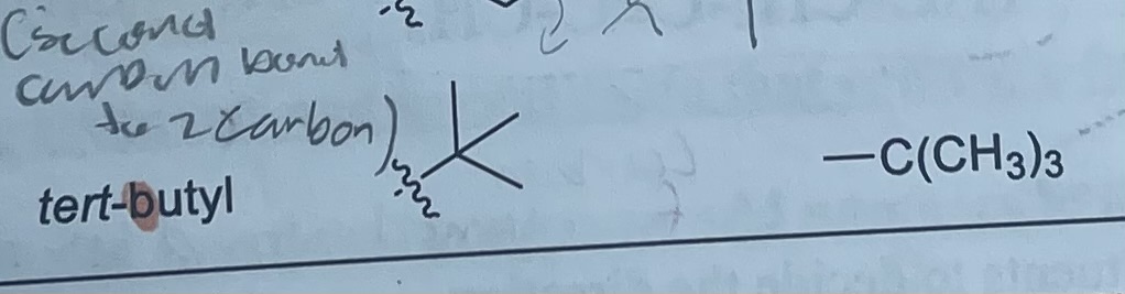 <p>-C(CH<sub>3</sub>)<sub>3</sub></p>