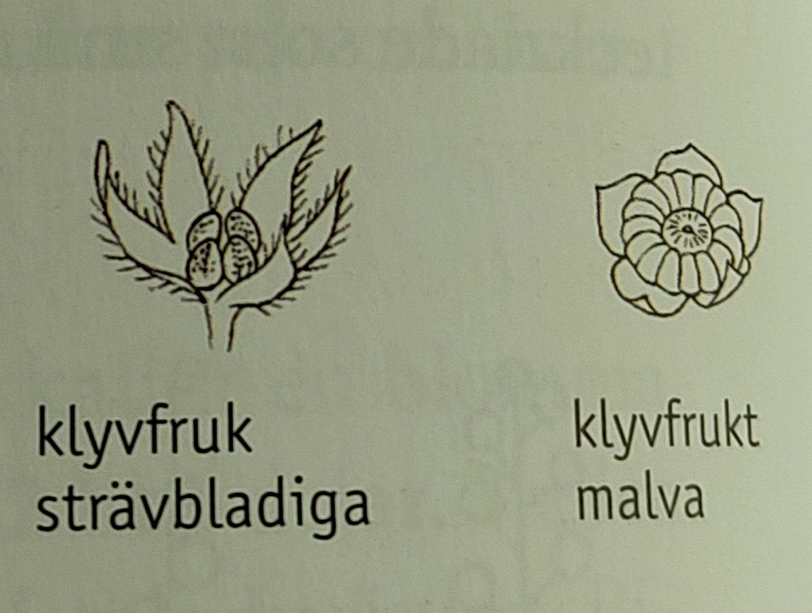 <p></p>