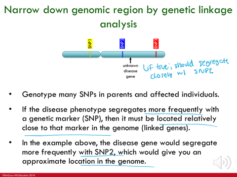 <ul><li><p>genotype many SIPs in parents and affected individuals</p></li><li><p>if the disease phenotype segregates more frequently with a genetic marker (SNP), then it must be located relatively close to that marker in the genome (linked genes)</p></li><li><p>in the example, the disease gene would segregate more frequently with SNP2, which would give you an approximate location in the genome</p></li></ul><p></p>