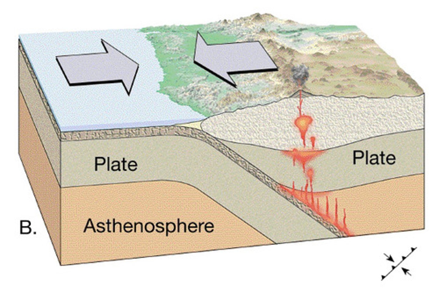 <p>boundaries of tectonic plates.</p>
