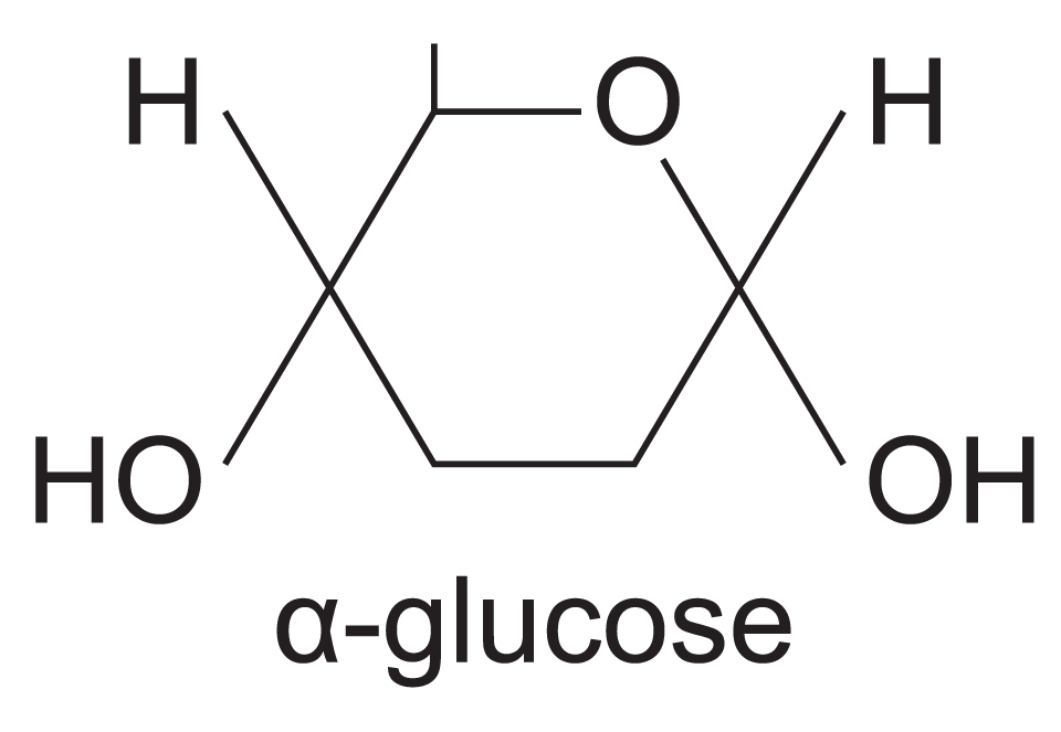 <p>Diagram depicting the chemical structure of $$\text{alpha glucose}$$ showing numbered carbon atoms $$C_1$$ to $$C_6$$ and hydroxyl ($$-OH$$) groups.</p>