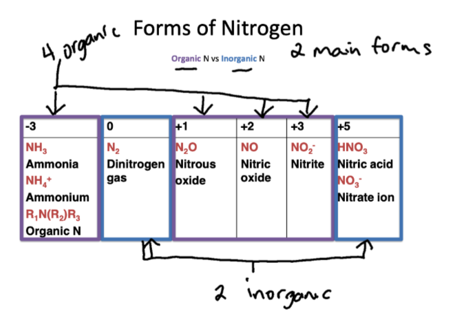 <ul><li><p>dinitrogen gas (N2)</p></li><li><p>Nitric acid (HNO3)</p></li><li><p>Nitrate ion (NO3-)</p></li></ul><p></p>