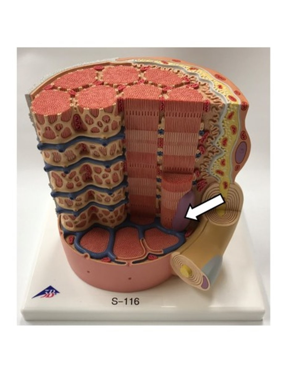 <p>What is this?</p>