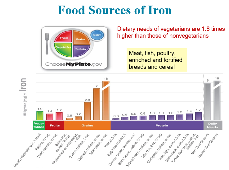 <p>Metabolic Functions of Iron</p>