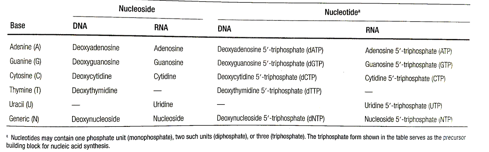 <p>What would be the nomenclature of a nucleotide for RNA that has adenine?</p>