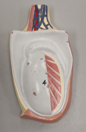 <p>What is this and what does it do?</p>