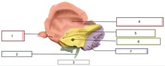 <p>3</p>