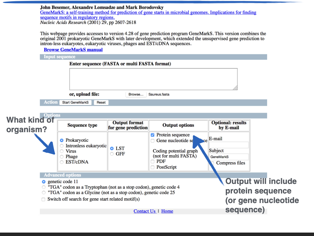 <p>What site is this?</p>