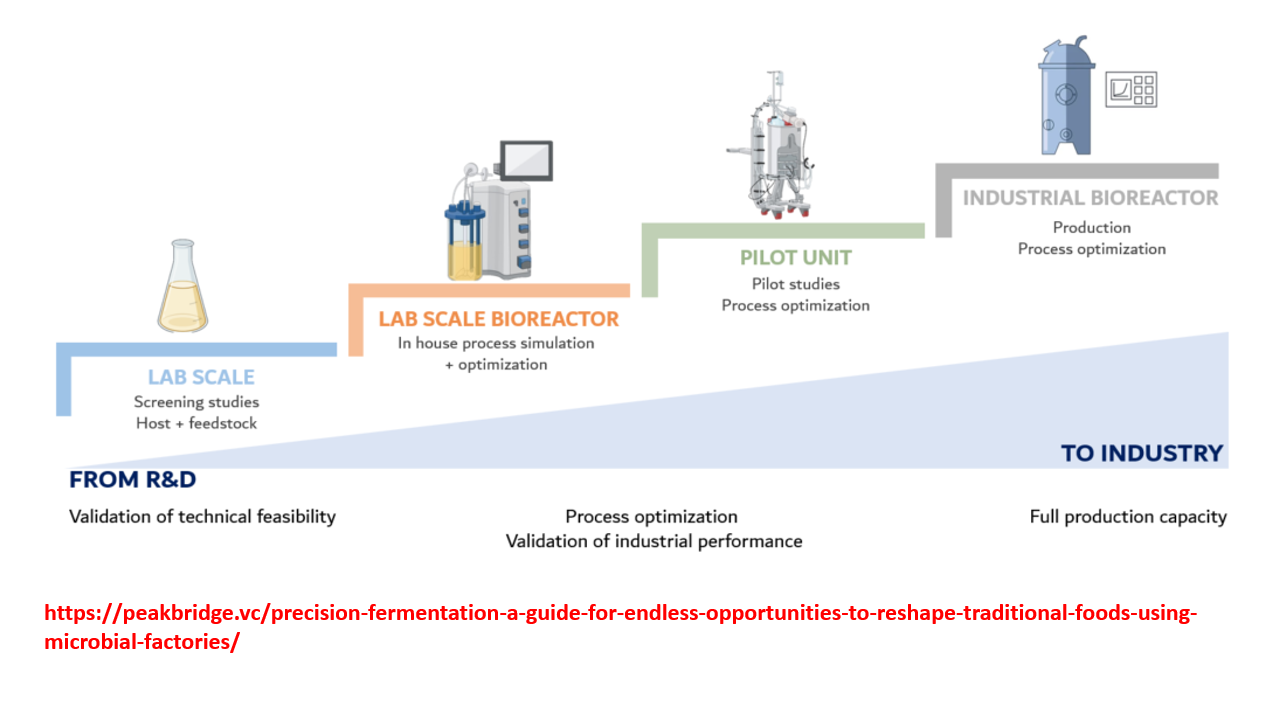 <p>Process optimization: validation of industrial performance step </p>