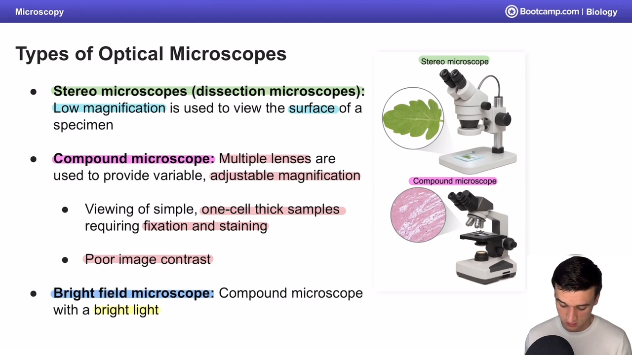 <p>compound microscope with a bright light </p>