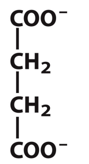 <p>What is this structure?</p>