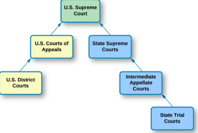 <p>a court's authority to hear and decide a case for the first time before any appellate review occurs</p>