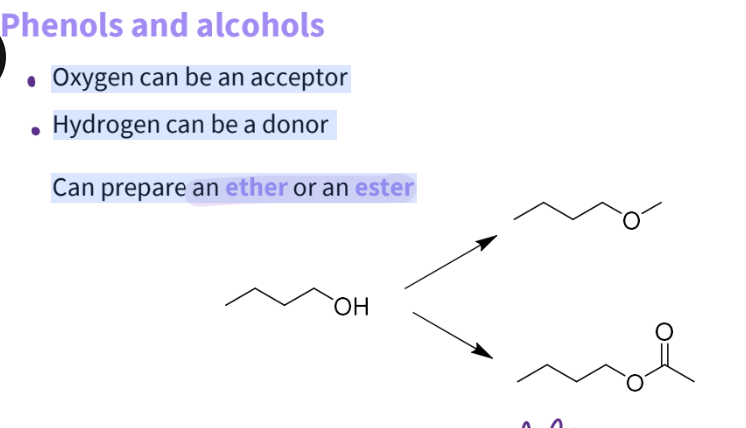 <p>Oxygen can be an acceptor</p><p>Hydrogen can be a donor</p><p>Can prepare an ether- gets rid of hbd , reduces hba activity - better change </p><p> an ester- gets rid of hbd,more likely to reduce h bond activity </p>