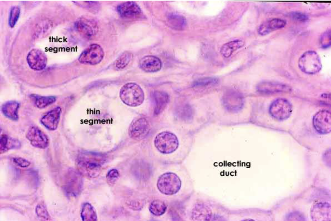 <p>What is this?</p>