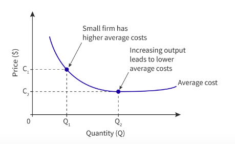 <ol><li><p>protection of infant/sunrise industries</p></li></ol><ul><li><p><span>Infant industries: new industries that have the ability to gain comparative advantage, but are not developed enough, or do not have enough resources to compete with foreign firms</span></p><ul><li><p class="zfr3Q CDt4Ke "><span>For instance, they cannot achieve economics of scale, currently, under free trade</span></p></li></ul></li><li><p class="zfr3Q CDt4Ke "><span>Therefore: the government might implement trade protection to help domestic firms achieve efficiency in the long run</span></p></li></ul><ol start="2"><li><p class="zfr3Q CDt4Ke "><span>National security</span></p><p class="zfr3Q CDt4Ke "><span>CASE STUDY:</span></p><ul><li><p class="zfr3Q CDt4Ke "><span>From 2018, India imposed safeguard duties on imported solar cells, coming mainly from China, to encourage domestic firms to produce solar equipment.&nbsp;</span></p></li></ul></li><li><p class="zfr3Q CDt4Ke "><span>Health and safety</span></p><ul><li><p class="zfr3Q CDt4Ke "><span>To maintain the wellbeing of domestic consumers and ensure that all products consumed meet with local health standards</span></p></li></ul><p class="zfr3Q CDt4Ke "><span>Case study:</span></p><p class="zfr3Q CDt4Ke "><span>Since 1989, the EU had banned imports on hormone treated beef, which can have developmental risks and carcinogens. This disrupted trade from the US and Canada. This allowed the WTO to authorize US and Canada to impose trade sanctions against the EU.</span></p></li><li><p class="zfr3Q CDt4Ke "><span>Anti-dumping</span></p><p class="zfr3Q CDt4Ke "><span>In the economic context, dumping refers to when foreign firms sell goods or services at a price that is lower than the costs of production (or what is charged in the domestic market)</span></p><p class="zfr3Q CDt4Ke "><span>While this might seem beneficial for local consumers, this challenges the survival of domestic firms.&nbsp;</span></p><p class="zfr3Q CDt4Ke "><span>Let's look at an example of how dumping occurs.</span></p><p class="zfr3Q CDt4Ke "><span>Case study:</span></p><p class="zfr3Q CDt4Ke "><span>For instance, from 2012-2018, the US imposed anti-dumping duties on imports from China, saying that they sold solar panels at a much cheaper price due to government subsidies.</span></p><p class="zfr3Q CDt4Ke "><span>In this case, this example was challenged at the WTO.&nbsp;</span></p></li><li><p class="zfr3Q CDt4Ke "><span>Anti-dumping</span></p><p class="zfr3Q CDt4Ke "><span>In the economic context, dumping refers to when foreign firms sell goods or services at a price that is lower than the costs of production (or what is charged in the domestic market)</span></p><p class="zfr3Q CDt4Ke "><span>While this might seem beneficial for local consumers, this challenges the survival of domestic firms.&nbsp;</span></p><p class="zfr3Q CDt4Ke "><span>Let's look at an example of how dumping occurs.</span></p><p class="zfr3Q CDt4Ke "><span>Case study:</span></p><p class="zfr3Q CDt4Ke "><span>For instance, from 2012-2018, the US imposed anti-dumping duties on imports from China, saying that they sold solar panels at a much cheaper price due to government subsidies.</span></p><p class="zfr3Q CDt4Ke "><span>In this case, this example was challenged at the WTO.&nbsp;</span></p></li><li><p class="zfr3Q CDt4Ke "><span>Balance of payments correction</span></p><p class="zfr3Q CDt4Ke "><span>Balance of payments correction refers to the financial documentation of a country's transactions with foreign countries, usually in a year. For instance, it records the country's trading.</span></p><ul><li><p class="zfr3Q CDt4Ke "><span>Through restricting imports, a country can improve their balance of payments by decreasing the size of its trade deficit</span></p></li></ul></li><li><p class="zfr3Q CDt4Ke ">generating government revenue</p></li><li><p class="zfr3Q CDt4Ke ">proteciton of jobs</p></li><li><p class="zfr3Q CDt4Ke ">ELDC diversification</p></li></ol><ul><li><p class="zfr3Q CDt4Ke "><span>ELDC refers to "Economically Least Developed Country", which is a generally low income country with serious structural barriers that inhibit economic development.</span></p><ul><li><p class="zfr3Q CDt4Ke "><span>Oftentimes, this means: small workforce, reliant on primary sector</span></p></li></ul><p class="zfr3Q CDt4Ke "><span>Trade protection is critical to help diversify the production of goods and moving to the manufacturing industry. For instance, instead of overspecializing in only producing cocoa, which can be economically vulnerable and effected by environmental shocks, they can expand other industries.</span></p></li></ul><p></p>