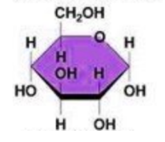 <p>type of carb and how its identified</p>