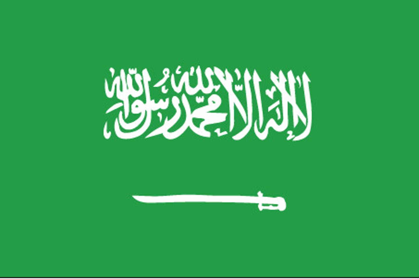 <p>l'Arabie saoudite, saoudien (2x)</p>