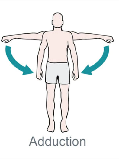 <p>Downward movement of humerus medially toward body </p><p>Frontal Plane</p>