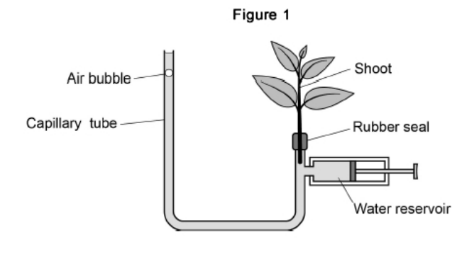 <p>A student used a potometer to measure the movement of water through the shoot of a plant. The potometer is shown in <strong>Figure 1</strong>. As water is lost from the shoot, it is replaced by water from the capillary tube. </p><p>The student wanted to determine the rate of water loss per mm2 of surface area of the leaves of the shoot in Figure 1. Outline a method she could have used to find this rate. You should assume that all water loss from the shoot is from the leaves. (3) </p>