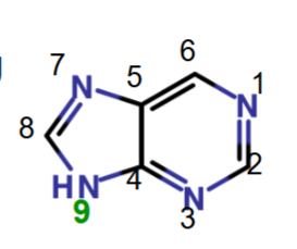 <p>Name this</p>