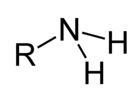 <p>What functional group is this?</p>