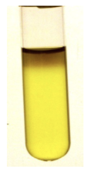 <p>VP test</p>