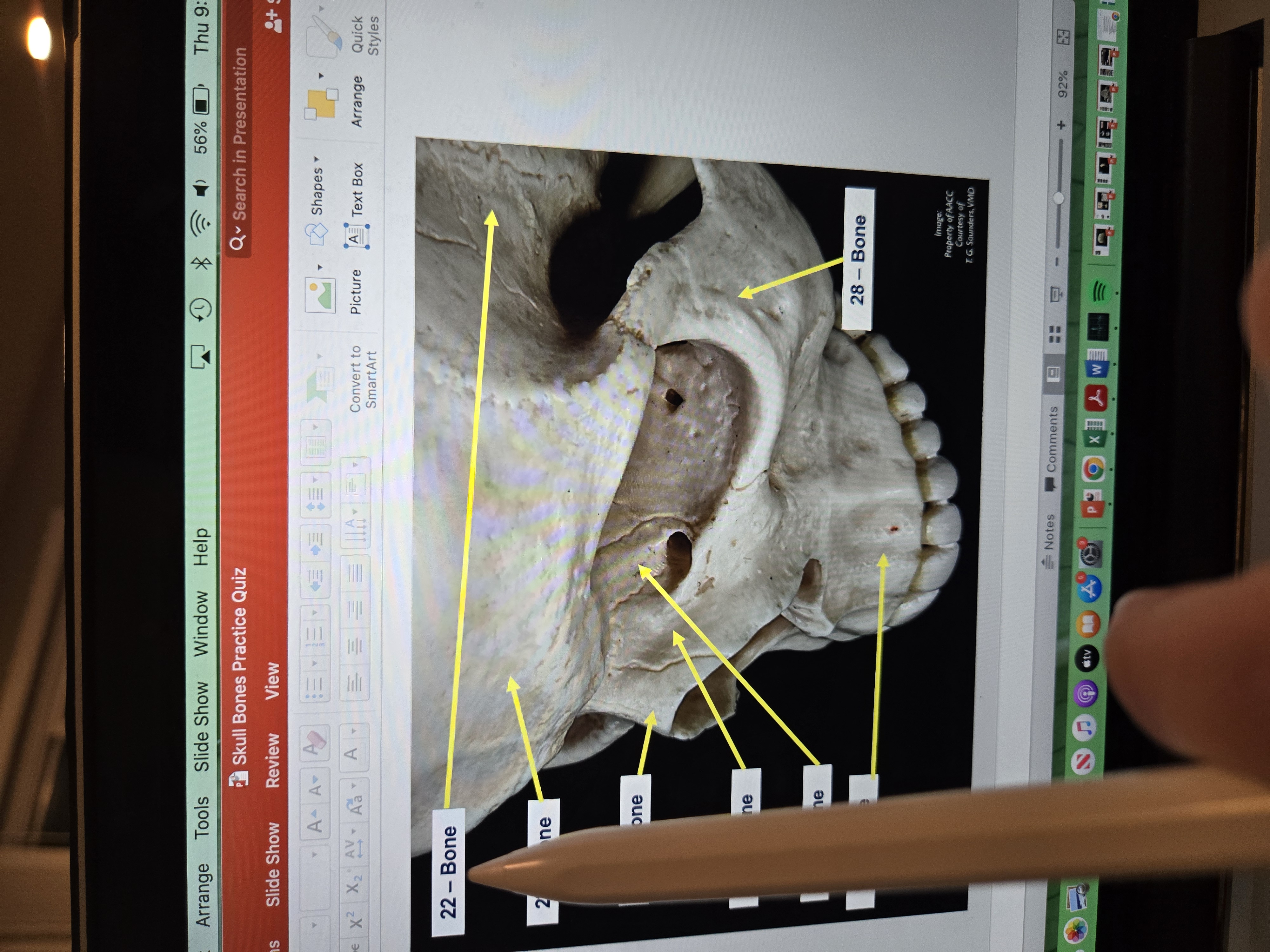 term image