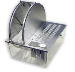 <p>circadian wheel running</p>