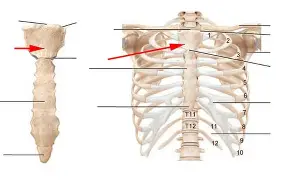 <p></p>