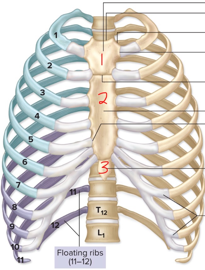 <p>2</p>
