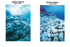 <p>Urban development, pollution, deforestation, and introduction of invasive species that can impact ecosystems.</p>