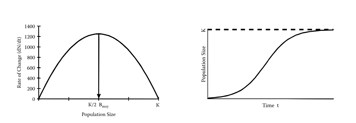 <p>Logistic growth</p>