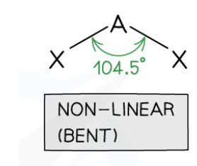 <p>V-Shaped / Bent</p>