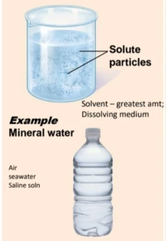 <p>Type of mixture: solute particles are very tiny, do not settle out or scatter light;</p><p>homogenous</p>
