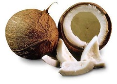 <p>/ˈfleʃ.i hʌsk/ lớp vỏ dày, nhiều thịt</p>