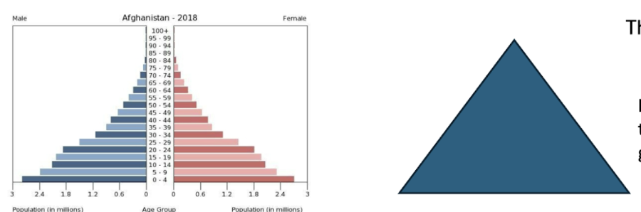 <p>Like a pyramid with the biggest part in the youngest age groups</p>