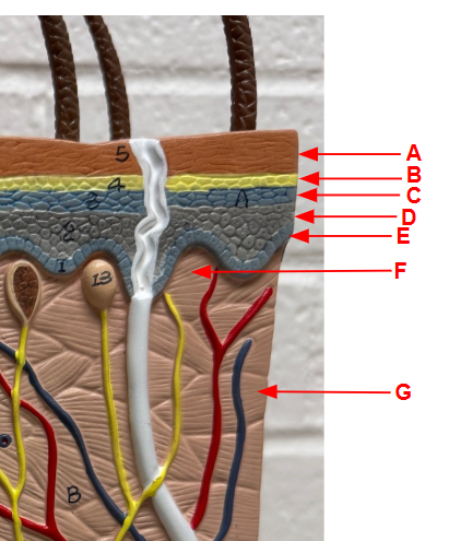 <p>F-G is?</p>