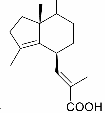 <p>quem é e propriedade farmacologica</p>